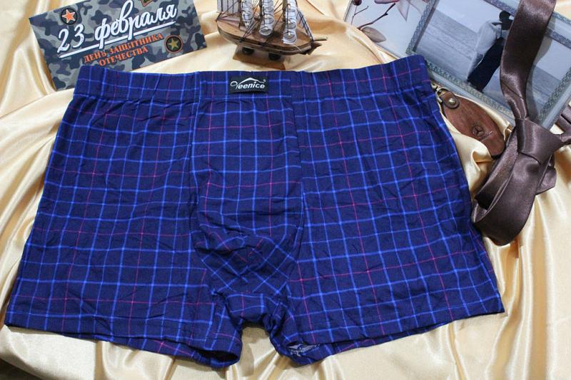 Трусы мужские боксеры p-p 52-58 Арт. 6141 Veenice бамбук  Квадраты из тире (гигант) (к.6755) фото 1