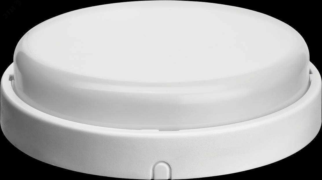 Светильник светодиодный ДБП-12w 4000К 900Лм IP65 круглый пластиковый белый Navigator Group 21004 фото 2