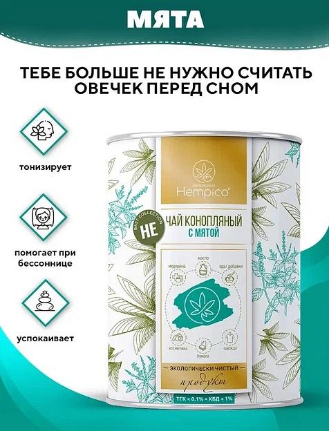 Травяной сбор Hempico «Не чай» конопляный с мятой в тубе 30 г ОПТ фото 1