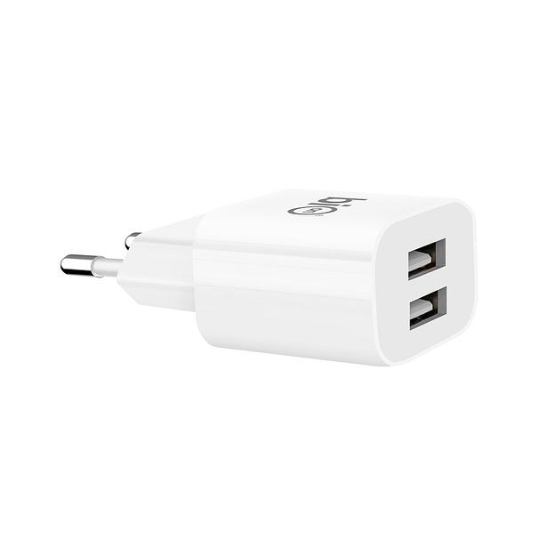 Bion Сетевое Зарядное Устройство, 2*USB-A, 10 Вт, белый [BXP-ADP-2A-10W] фото 1