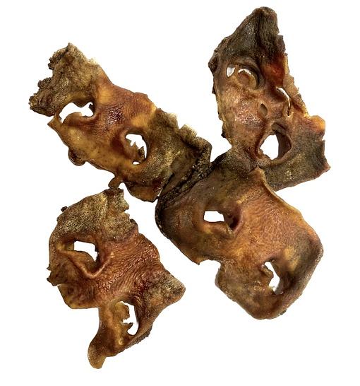 Нос говяжий лакомство для собак 1 кг ОПТ фото 4