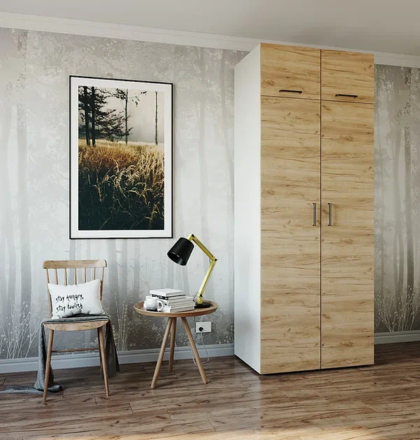 Шкаф распашной Sanvut 900х500х2325 мм арт.Ш9319 ОПТ фото 6