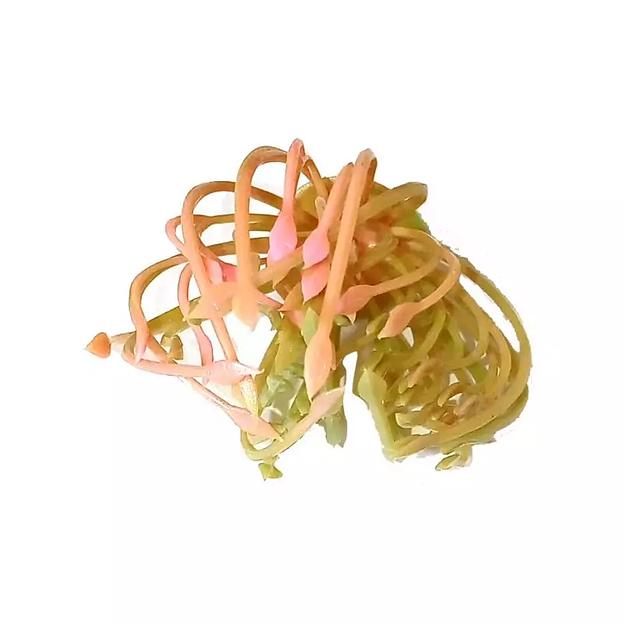 Добавка тычинка густая розовая с зелёными с ножкой 5,5см 534шт/кг фото 6