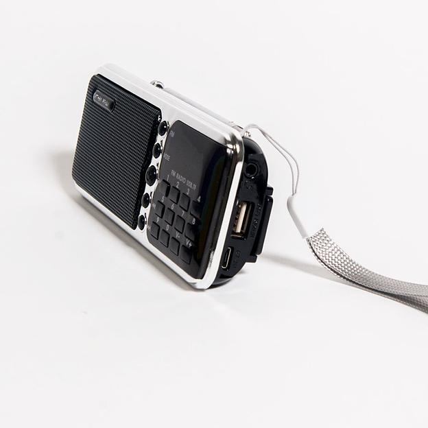 Радиоприемник портативный Сигнал РП-226BT черный/серебристый USB microSD фото 3