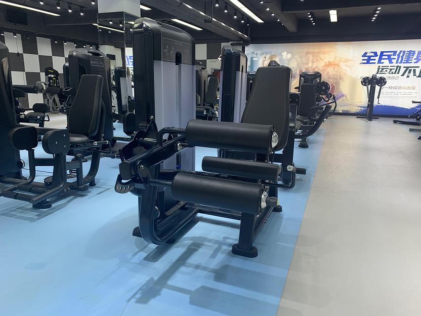 Сгибание ног Insight Fitness TF14 фото 5