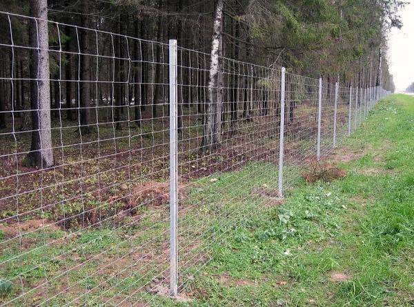 Сетка шарнирная (Чабанка) 2 мм оцинкованная 1,2х50 м ОПТ фото 2