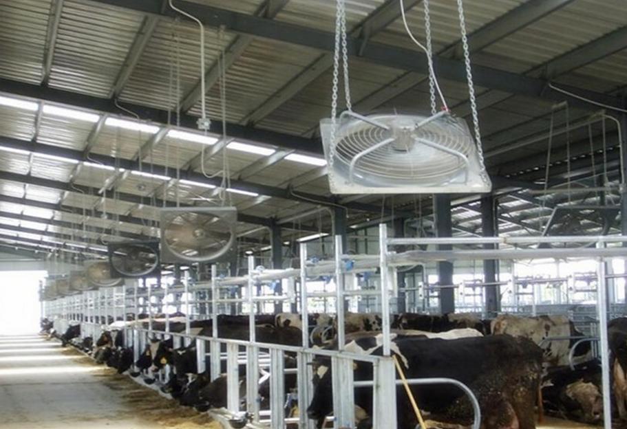 Услуга установки вентиляторов на агрофермах фото 3