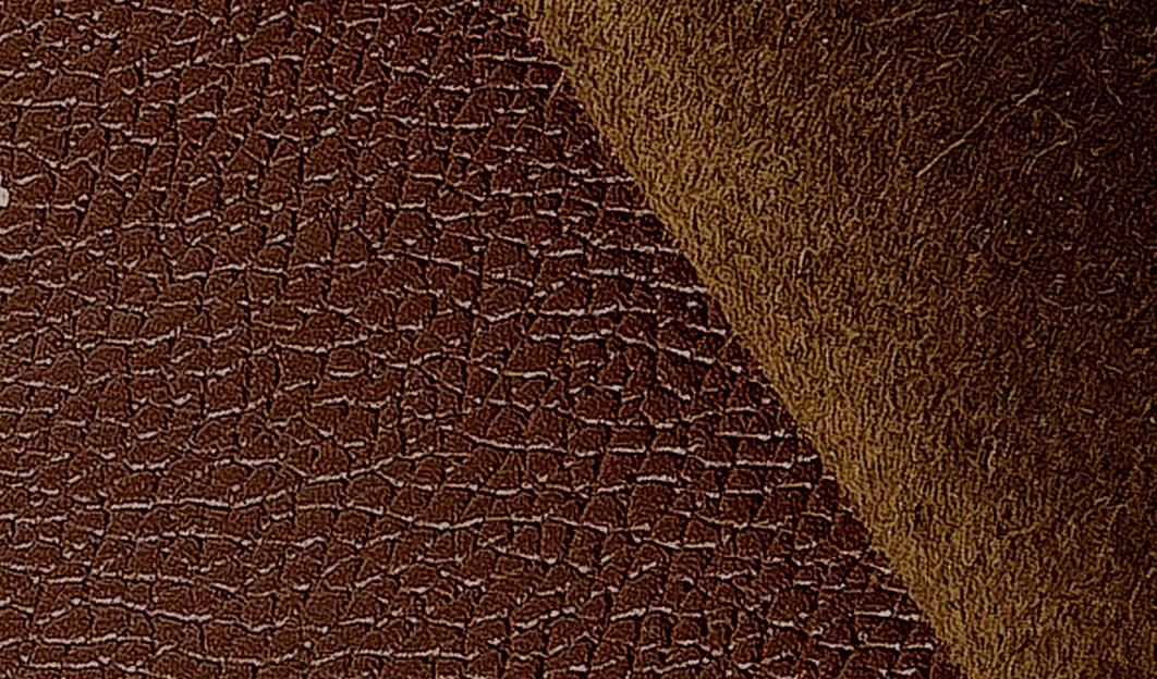 Кожа Натуральная. Артикул Тоскана коричневый фото 1