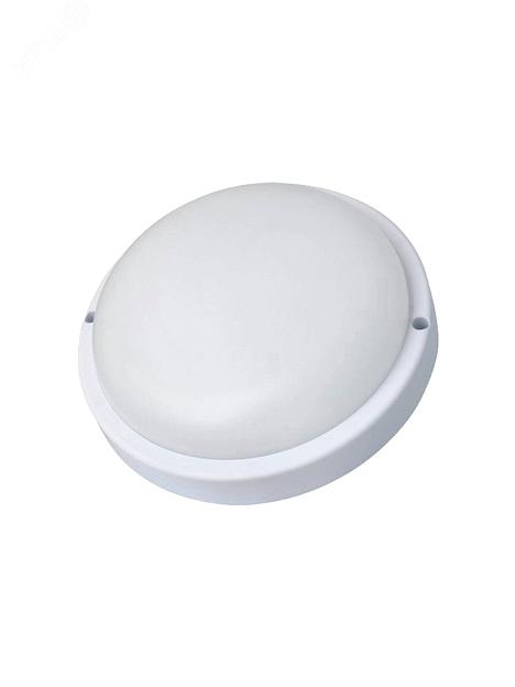 Светильник светодиодный настенно-потолочный для ЖКХ ДБП-10Вт 6500K 900Лм IP65 круг фото 1