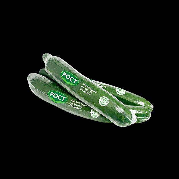 Среднеплодный огурец гладкий Мева высший сорт ОПТ фото 1