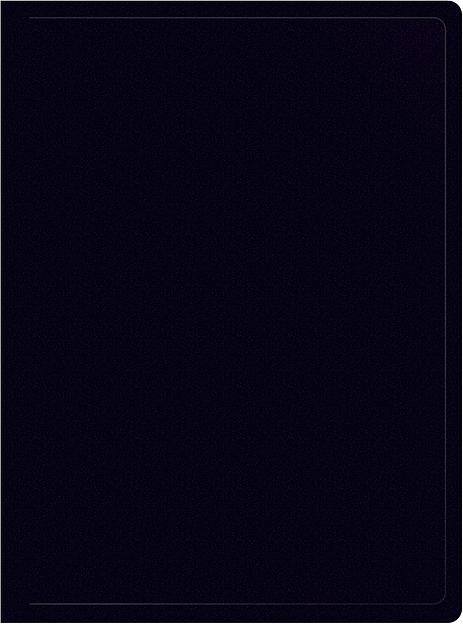 Папка с 10 прозр.вклад. Silwerhof Eco SE-V10BLK A4 пластик 0.5мм черный фото 1