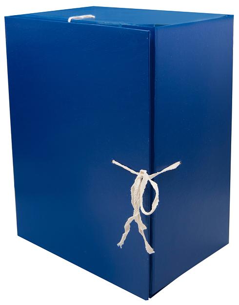 Папка архивная 4 завязки Silwerhof КБЗ-4-150P бумвинил корешок 150мм разобранный A4 ассорти фото 2