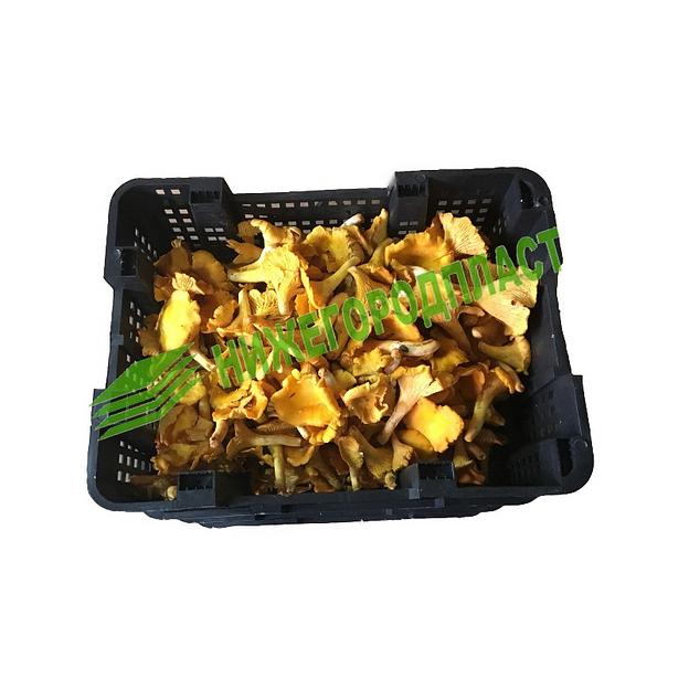 Ящик грибной, ягодный № 5, грузоподъёмность до 8 кг фото 6