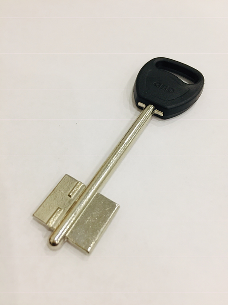 Заготовка ключа Гардиан2 (пластик) фото 1