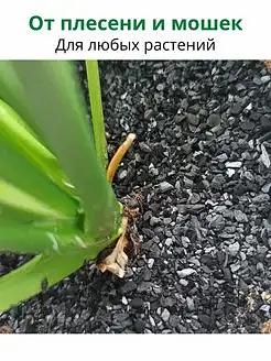 Активированный уголь для растений 100 г ОПТ фото 1