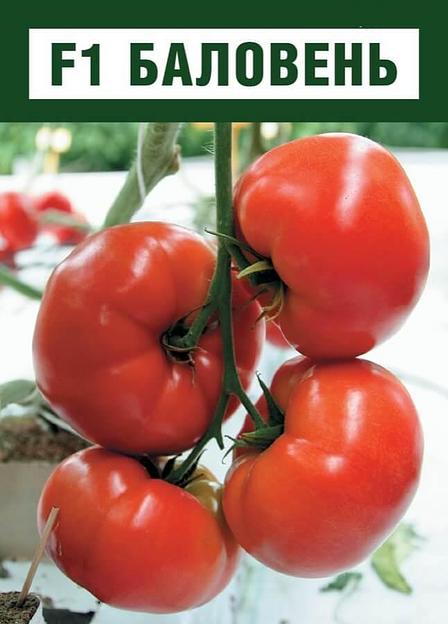 Семена томатов F1 «Баловень» опт фото 1