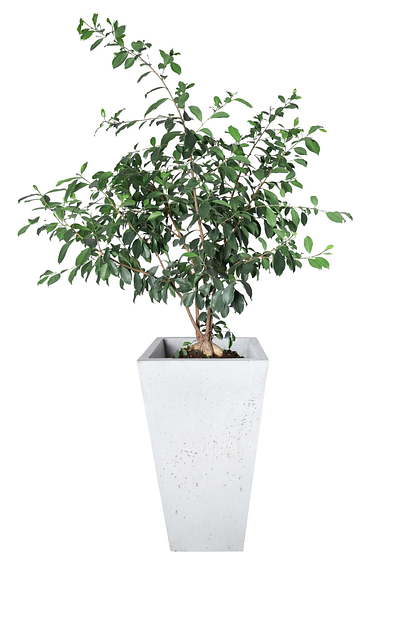 Цветочный вазон СтаркБет «Гардения средняя» 45 л ОПТ фото 4