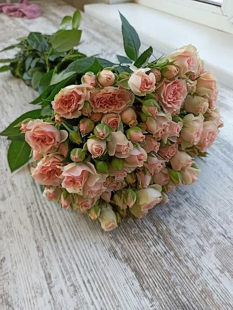 Розы сорта Флиртинг Бабблс ОПТ фото 3