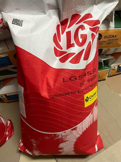 Гибрид семян подсолнечника LG 59580 фото 1