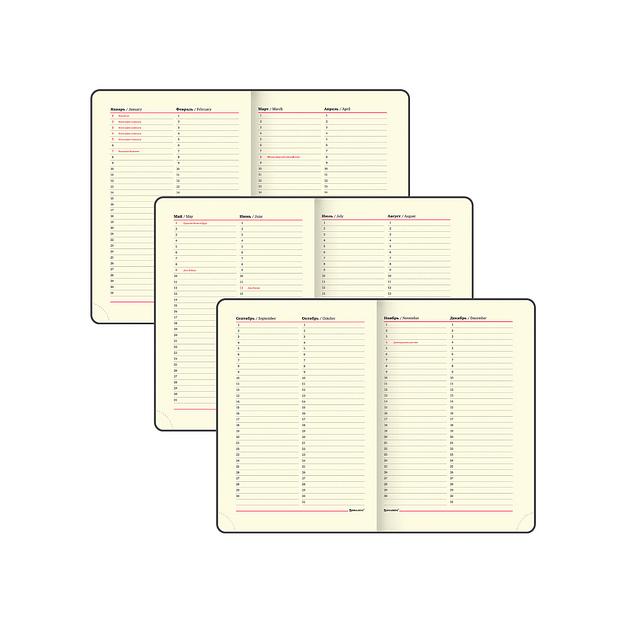 Ежедневник недатированный А5 138×213 мм Brauberg «Comodo» под кожу, 160 л, красный, опт фото 4