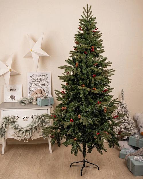 Ель с шишками и ягодами «Притча» опт фото 2