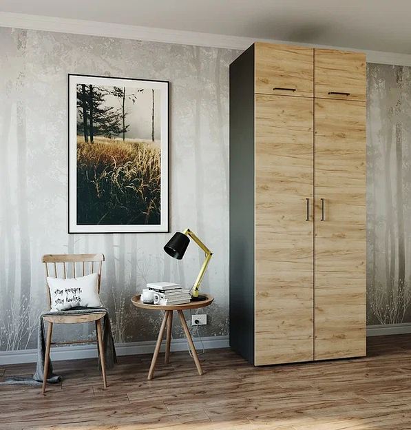 Шкаф распашной Sanvut 900х500х2325 мм арт.Ш9319 ОПТ фото 2