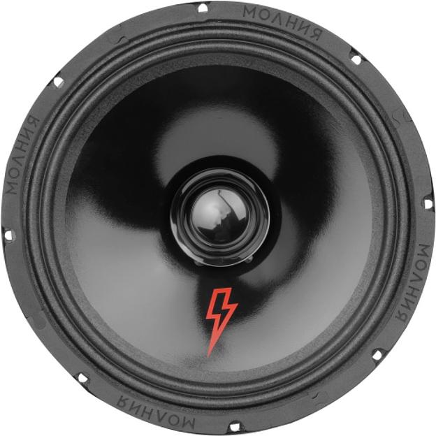 Колонки автомобильные Ural Молния АС-МЛ250 (без решетки) 300Вт 95дБ 4Ом 25см (10дюйм) (ком.:2кол.) широкополосные однополосные фото 1