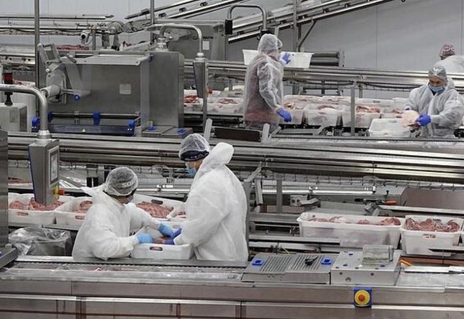 Очистка сточных вод мясокомбината фото 1