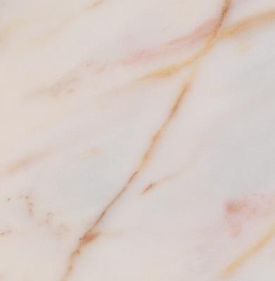 Напольный керамогранит ProGRES «Сен-Бернар» 60х60 см ОПТ фото 2