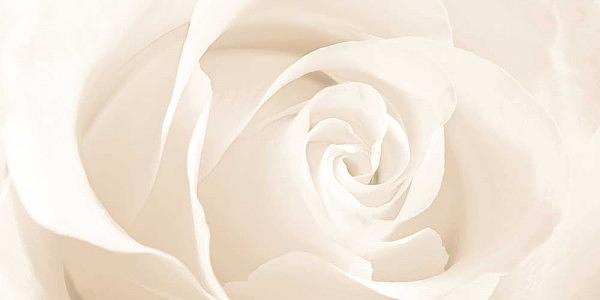 Плитка керамическая CERSANIT Effecta 598x298 декор бежевый 12955 (EC2L011DT, EC2C011) фото 1