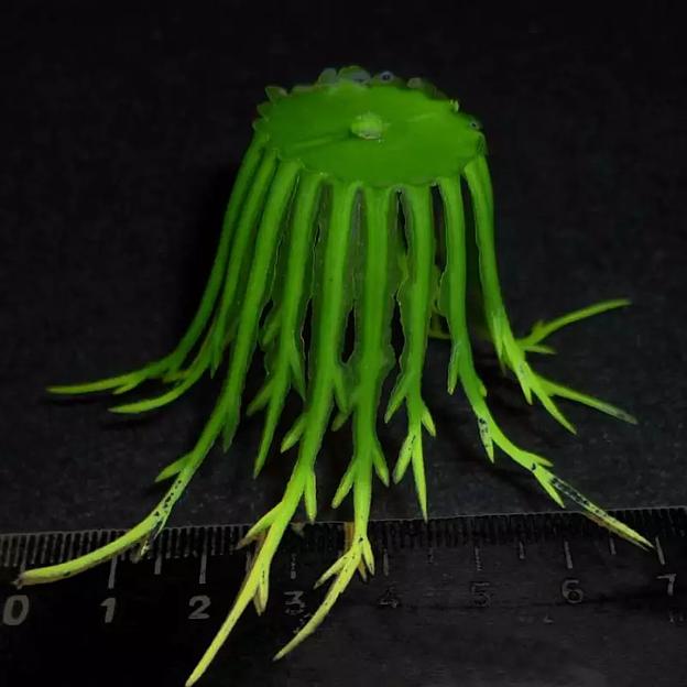 Добавка середина Длинные усы Зелёная 5-12см 161с (с крепл.) 706шт/кг фото 1