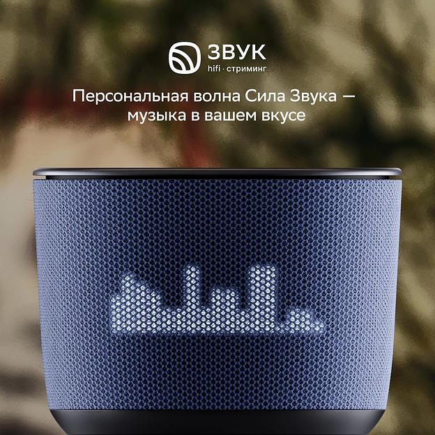 Умная колонка Sber Boom Home SBDV-00171G Салют серый 8W Mono BT/Wi-Fi (без.бат) фото 8