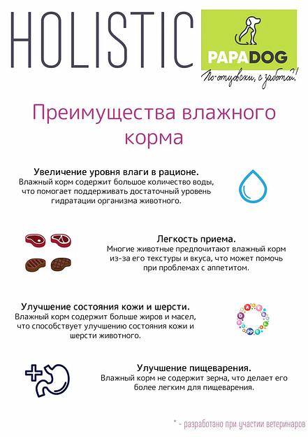 Корм для собак влажный PapaDog Holistic «Говядина с потрошками» 300 г ОПТ фото 2