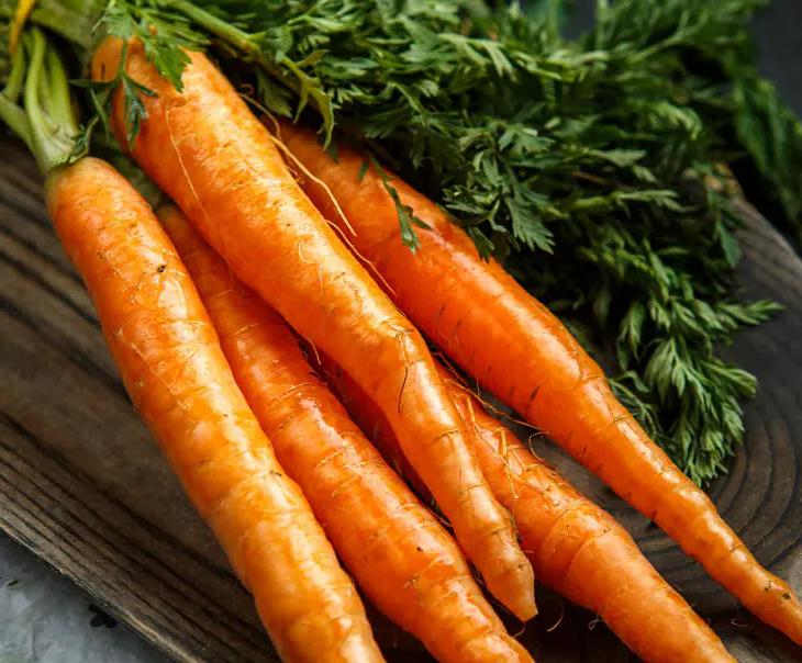 Морковь ранняя фото 1