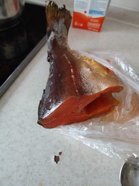 Коптильня горячего и холодного копчения фото 3