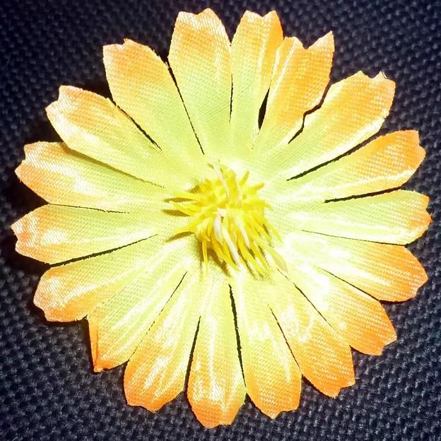 Головка гербера 1/200 026-046-003 фото 1