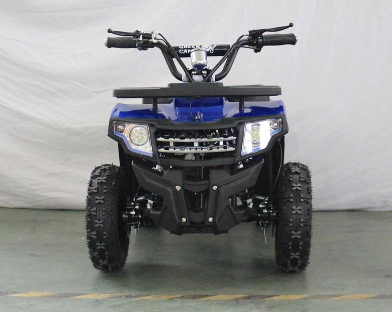 Квадроцикл GreenCamel Гоби K24 (36V 800W R6 Цепь) синий фото 7