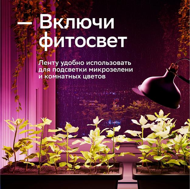 Умная светодиодная лента Sber SBDV-00033 фото 9