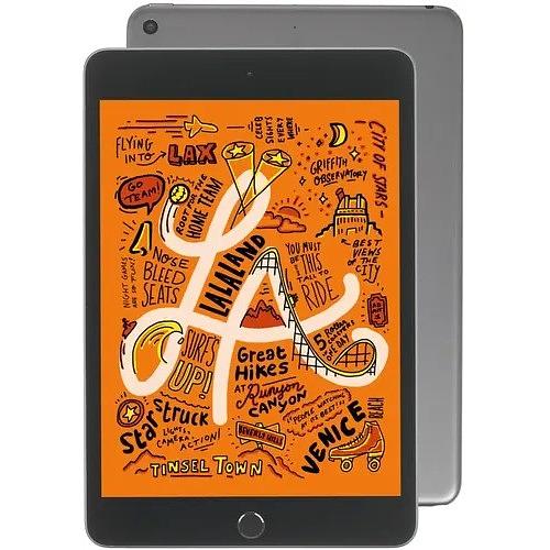 Apple iPad mini Wi-Fi + Cellular 256GB - Space Grey (MUXC2HN/A) (2019) фото 1