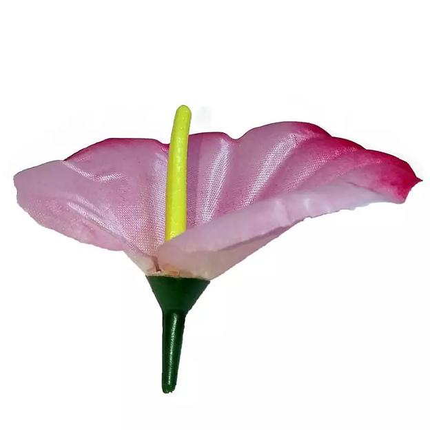 Головка каллы 10,5x12см 646шт/кг 1/40 фото 2