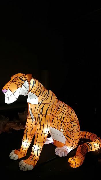 Световая скульптура «Тигр» фото 2