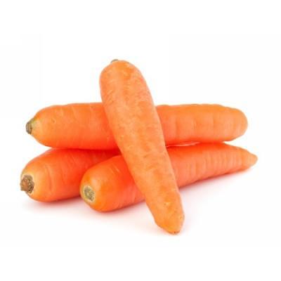 Свежие овощи «Морковь», опт фото 1