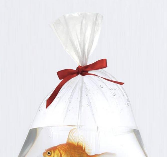 Фасовочные пакеты в рулоне фото 1