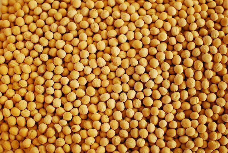Горох ГОСТ фото 1