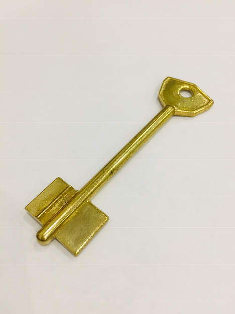 Заготовка ключа АОСАМ 3 фото 1