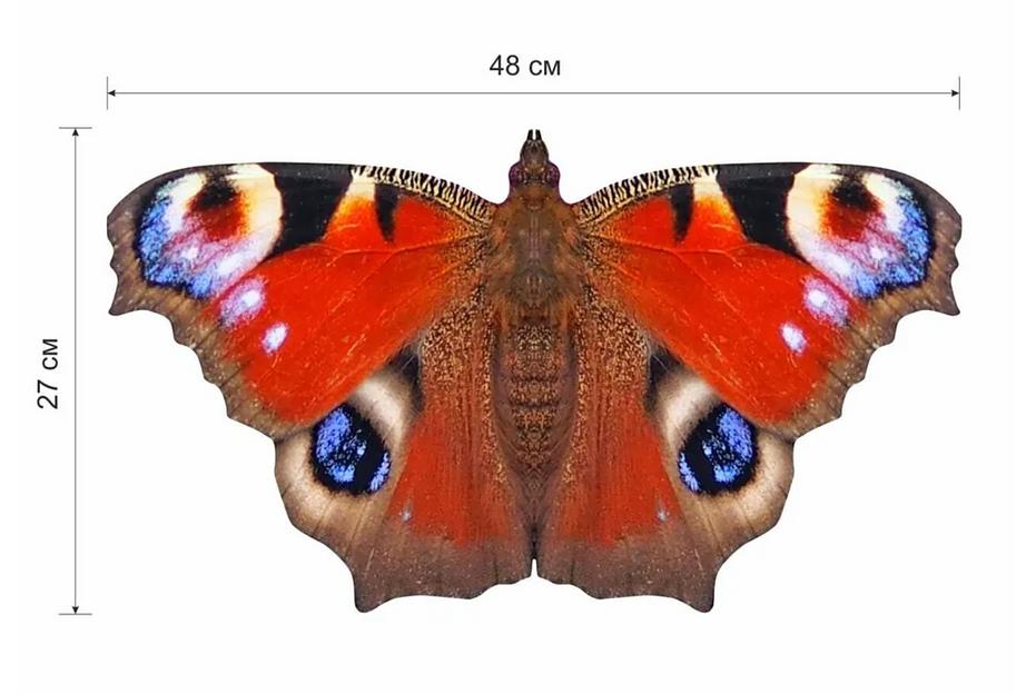 Деревянные пазлы «Павлиний глаз» L 48×27 см 314 деталей фото 8