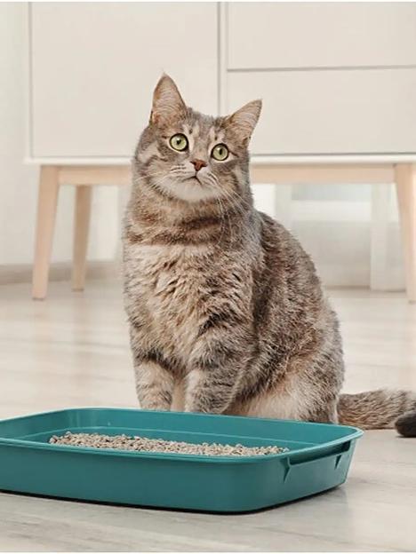 Комкующийся наполнитель для домашних животных Чистый Том, 15 кг (45 л) фото 3