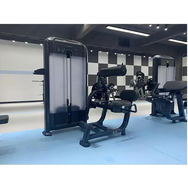 Разгибание спины Insight Fitness TF11 фото 9