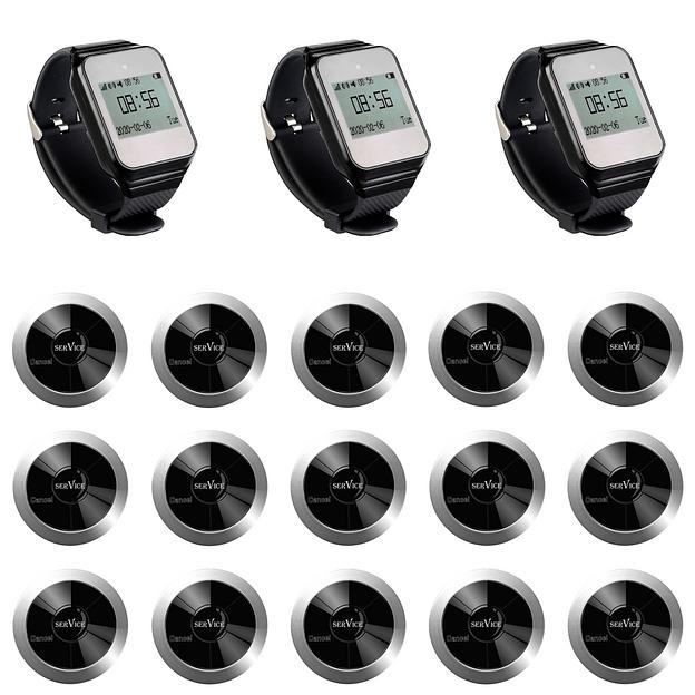 Система вызова из 3-х часов и 15-ти кнопок SWB17-1 фото 1