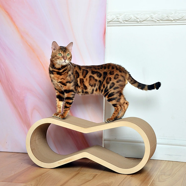 Когтеточка Тумяу «Айс» с деревянным ободком, Premium, светлое дерево, опт фото 1